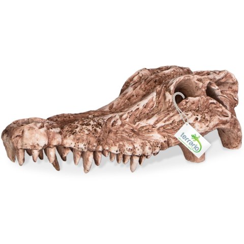 Terrario Crocodile Skull - ozdoba do terrarium 30x14x9 cm