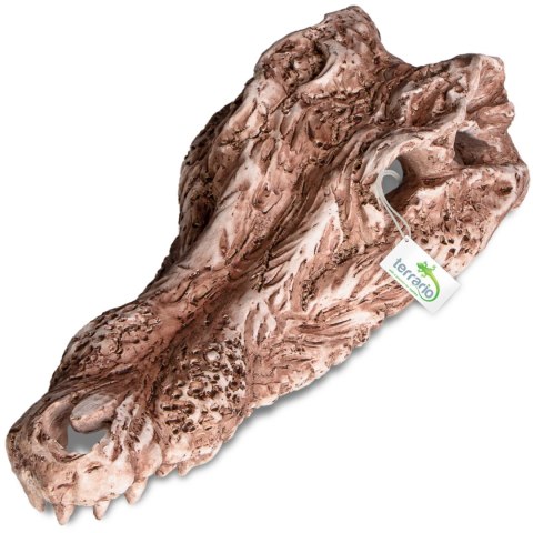 Terrario Crocodile Skull - ozdoba do terrarium 30x14x9 cm