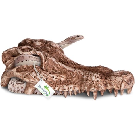 Terrario Crocodile Skull - ozdoba do terrarium 30x14x9 cm