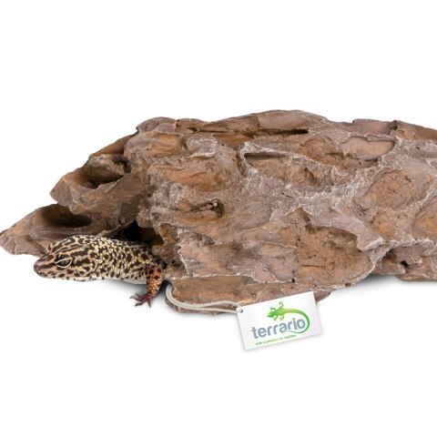 Terrario Dragon Stone S - ozdoba do terrarium 22x12x7cm