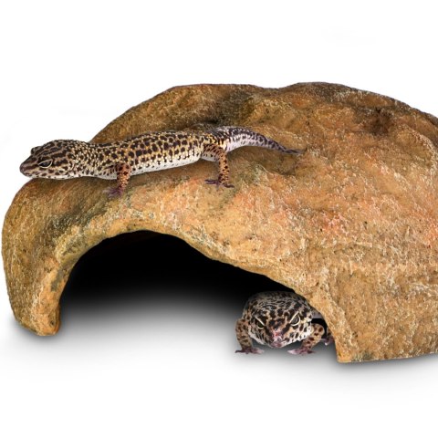 Terrario Gecko Cave L - kryjówka do terrarium 27x22x9 cm