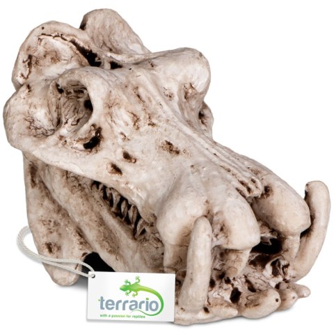 Terrario Hippo Skull - ozdoba do terrarium 5x3x3 cm