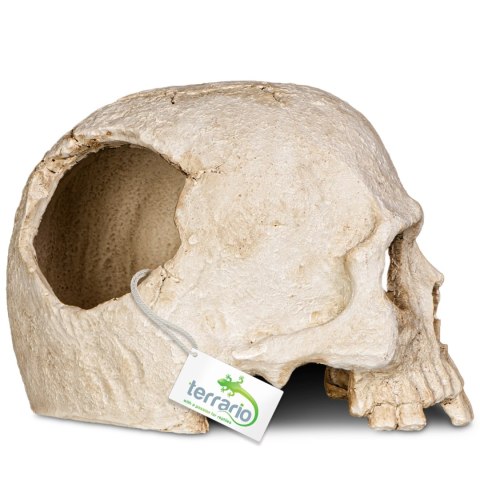 Terrario Human Skull - ozdoba do terrarium 14x11x11 cm